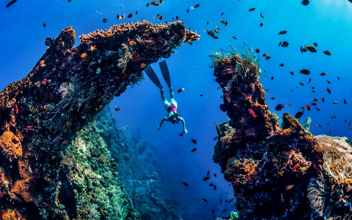 amed bali snorkelling japanese shipwreck & vienna beach – full day-2 amed bali snorkelling japanese shipwreck & vienna beach – full day-2