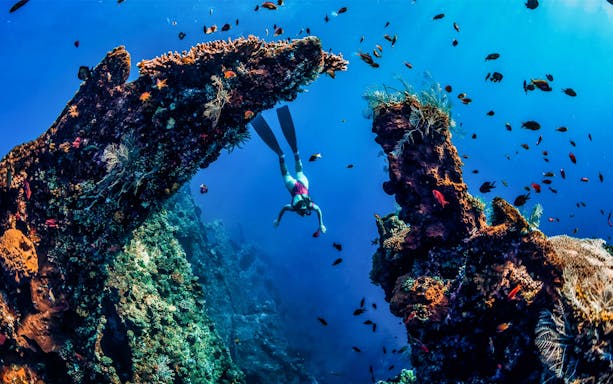 Snorkeler exploring Japanese shipwreck with vibrant marine life in Amed, Bali.
