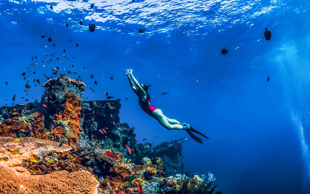 amed bali snorkelling japanese shipwreck & vienna beach – full day-1 amed bali snorkelling japanese shipwreck & vienna beach – full day-1