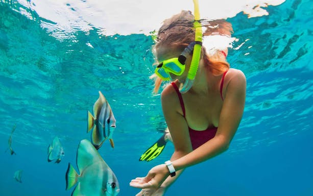 Snorkeler observing fish in Blue Lagoon, Bali during full-day tour.
