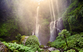 Sekumpul Waterfall in lush forest, person standing with arms raised, Bali tour.