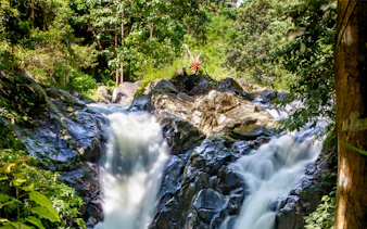 Sekumpul Waterfall surrounded by lush greenery in Bali, Indonesia.
