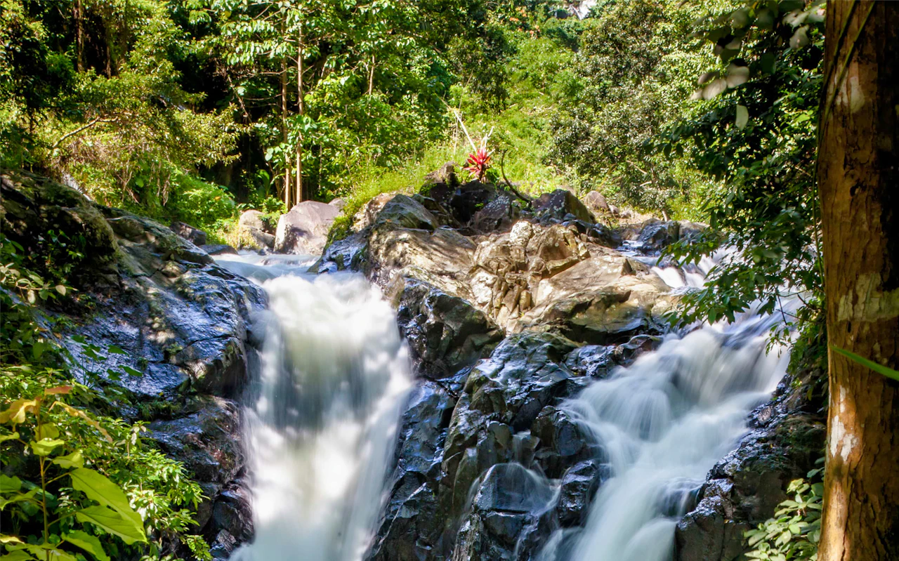 Sekumpul Waterfall & Temple Small-Group Tour: Ulun Danu Bratan, Taman Ayun-Tempel — 8