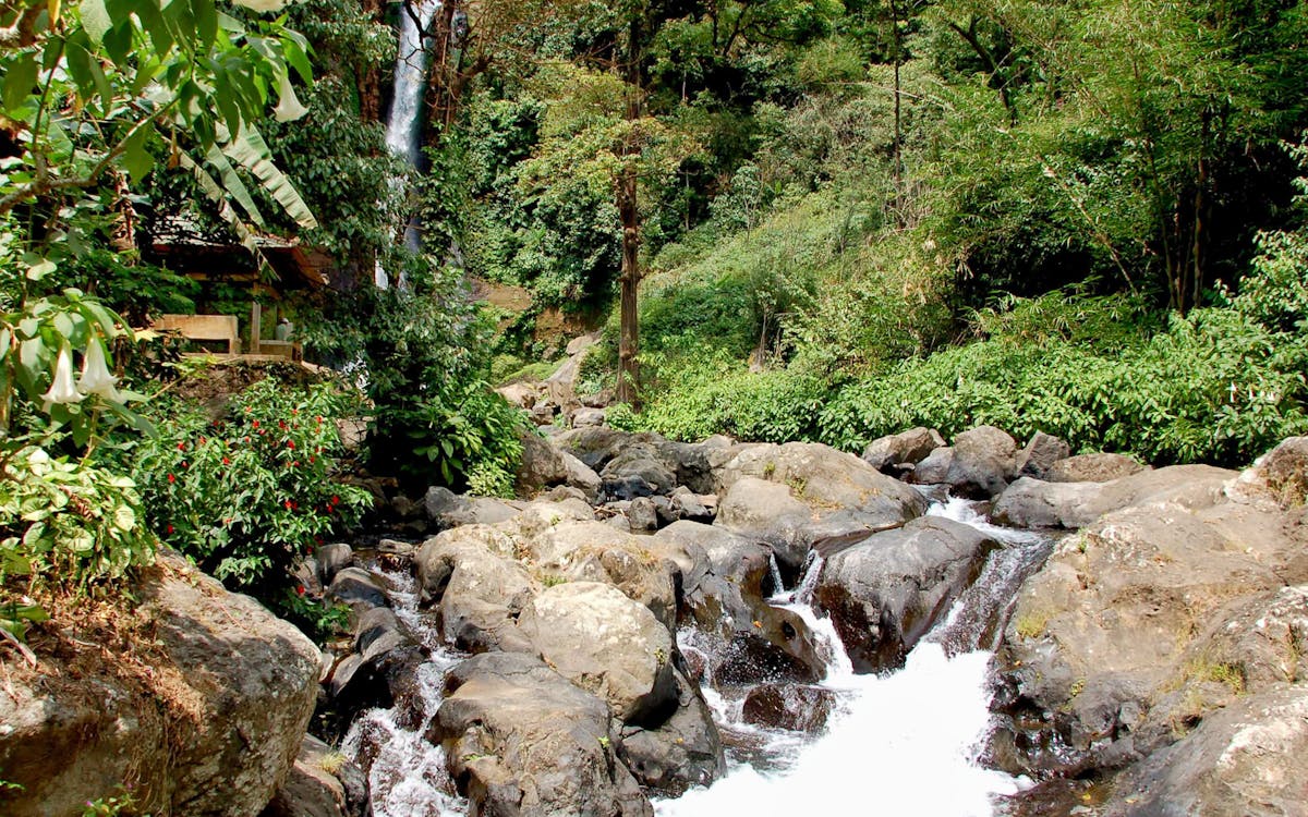 sekumpul waterfall & temple small-group tour: ulun danu bratan, taman ayun temple-7 sekumpul waterfall & temple small-group tour: ulun danu bratan, taman ayun temple-7