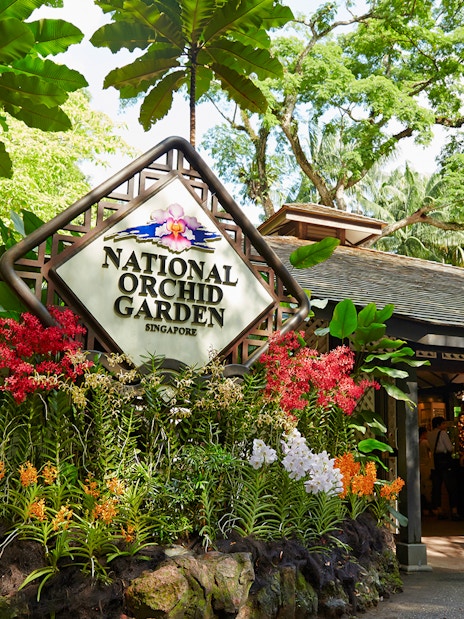 National Orchid Garden entrance with colorful orchids and lush greenery in Singapore.