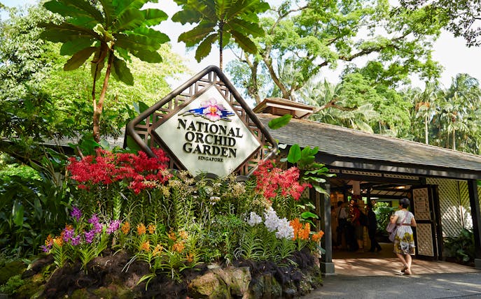 National Orchid Garden entrance with colorful orchids and lush greenery in Singapore.