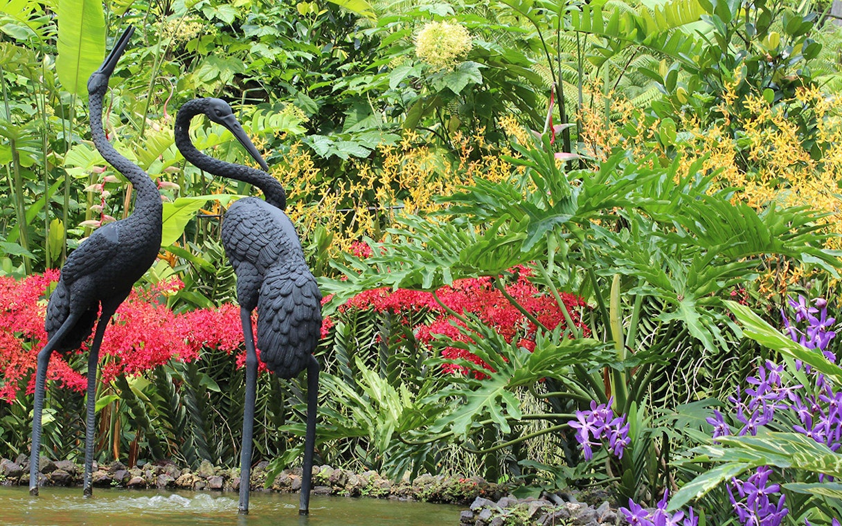Sculptures of cranes surrounded by vibrant orchids at National Orchid Garden.
