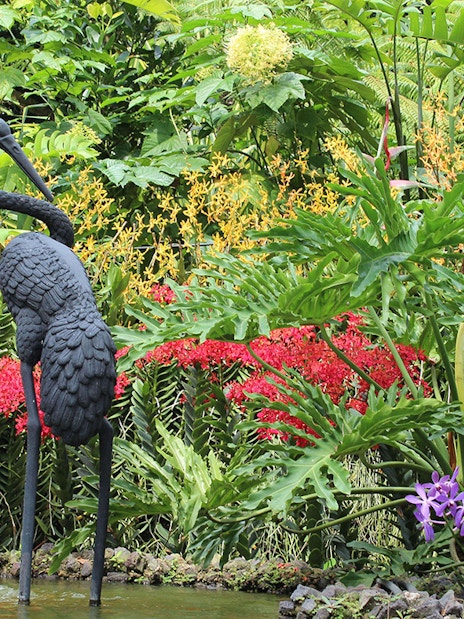 Sculptures of cranes surrounded by vibrant orchids at National Orchid Garden.
