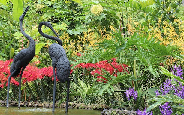 Sculptures of cranes surrounded by vibrant orchids at National Orchid Garden.