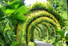 National Orchid Gardens Singapore