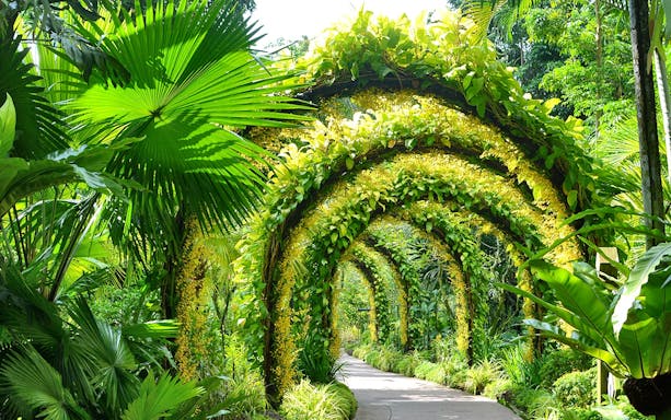 Pathway through lush arches at National Orchid Garden, Singapore.