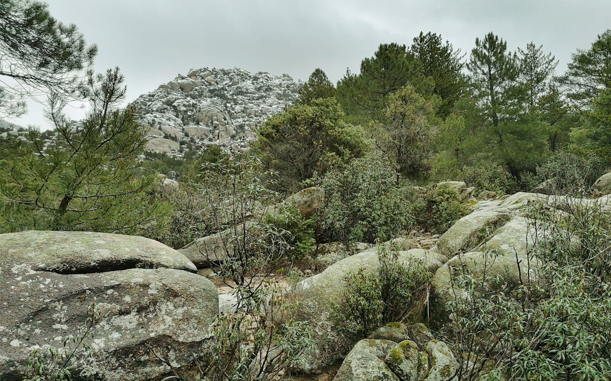 passeio de um dia ao parque nacional de guadarrama-3 passeio de um dia ao parque nacional de guadarrama-3