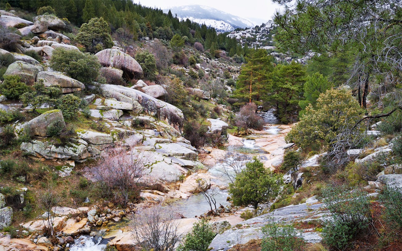 Stream flowing through rocky landscape in Guadarrama National Park, surrounded by trees and hills.