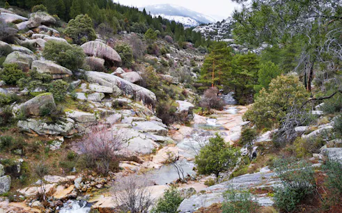 Stream flowing through rocky landscape in Guadarrama National Park, surrounded by trees and hills.