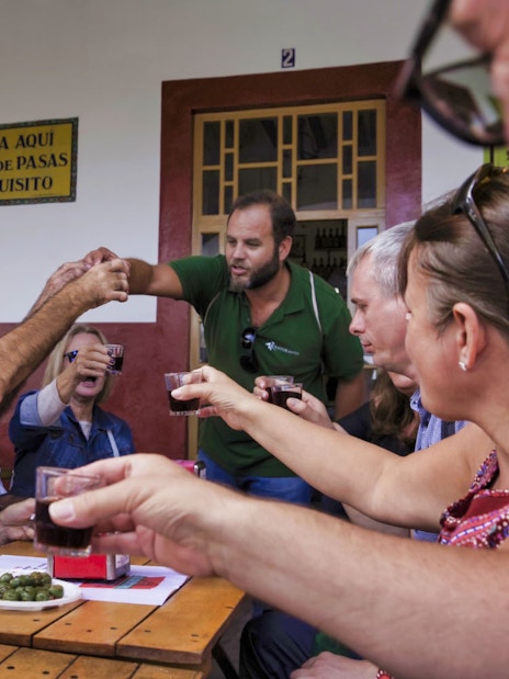 Group enjoying wine tasting on a guided tapas tour in Triana, Seville.