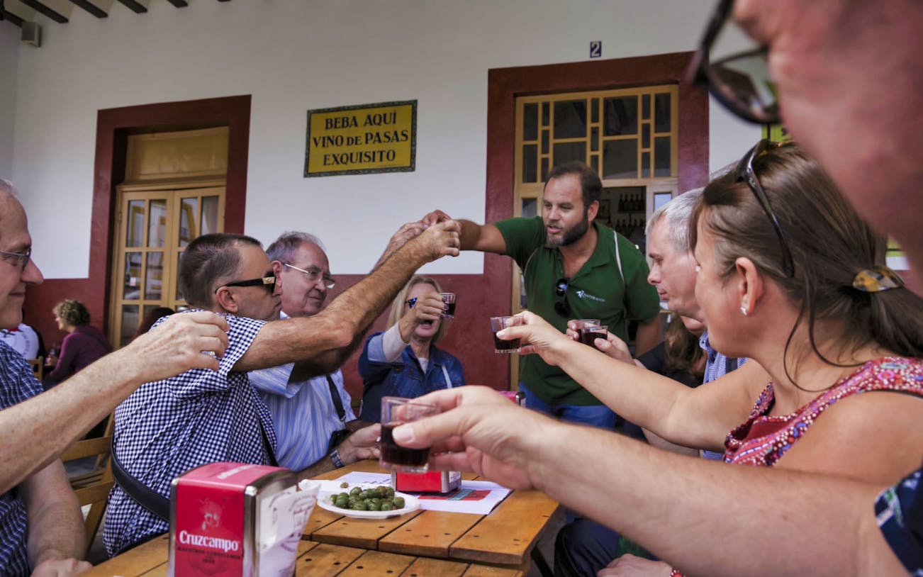 Group enjoying wine tasting on a guided tapas tour in Triana, Seville.