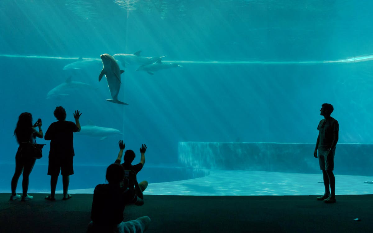 ticket voor het aquarium + lunch-4 ticket voor het aquarium + lunch-4
