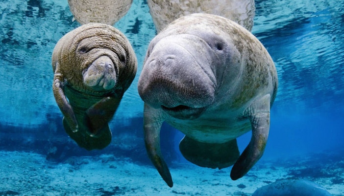 entradas acuario génova