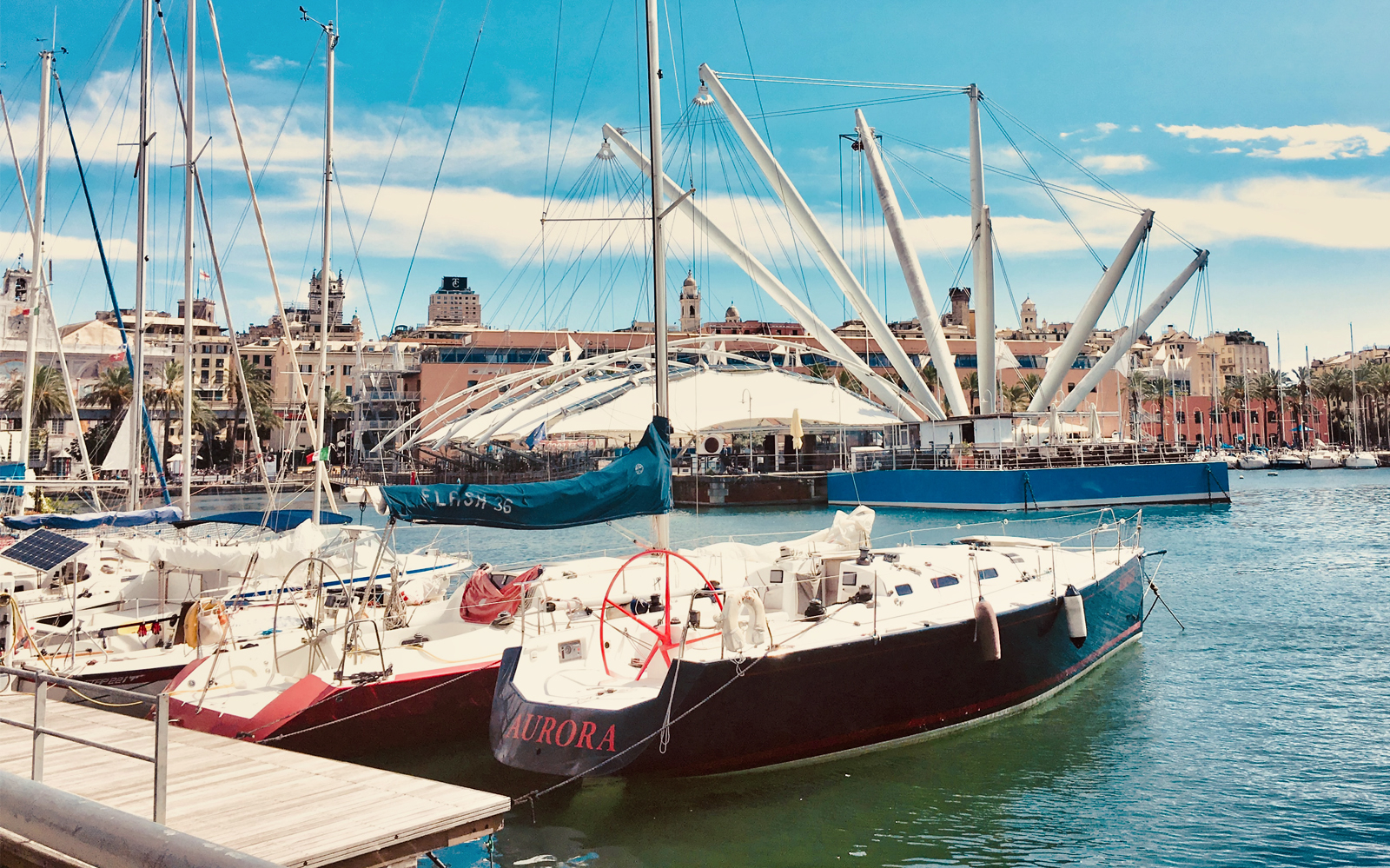 Biglietto Salta La Coda Acquario Di Genova Biosfera E Altro