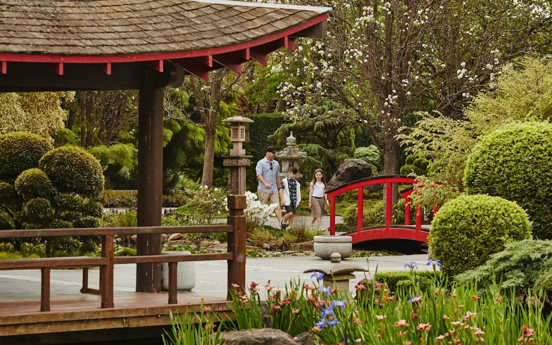 Visitors walking near a red bridge in Hunter Valley Gardens, surrounded by lush greenery.