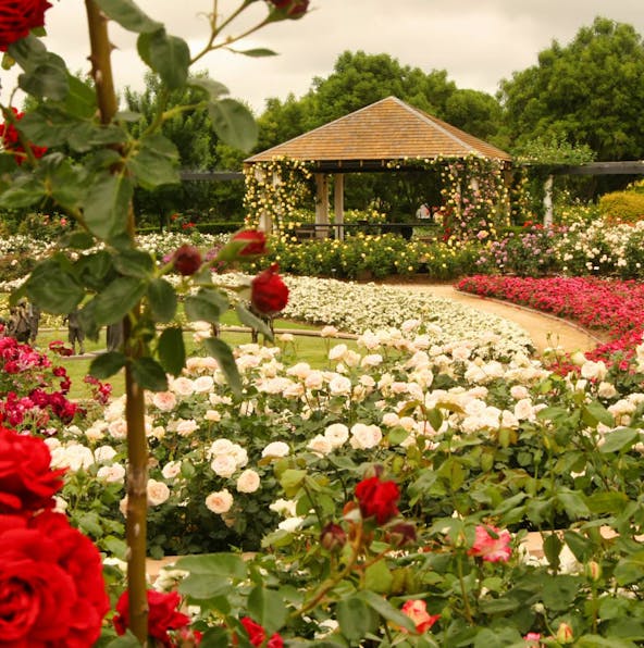 First timer’s guide to visiting Hunter Valley Gardens