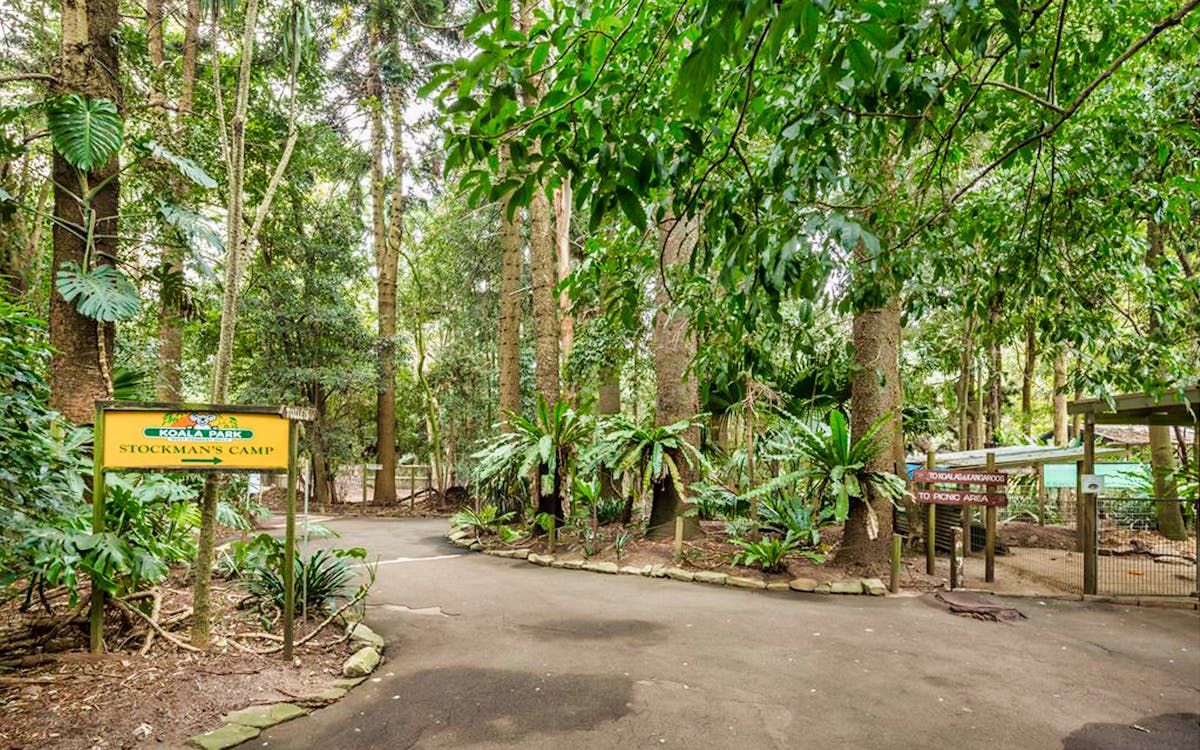 tickets to koala park sanctuary-11 tickets to koala park sanctuary-11
