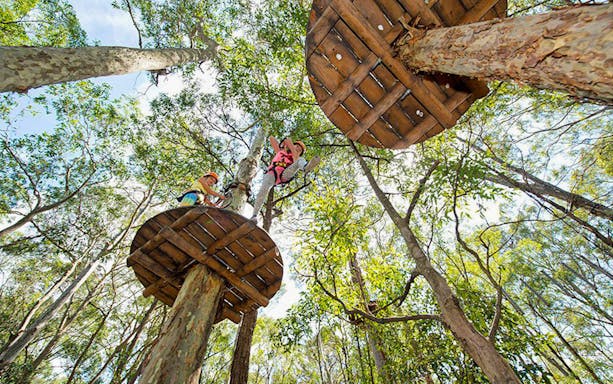 Visitors navigating treetop platforms at Treetops Adventure Park.