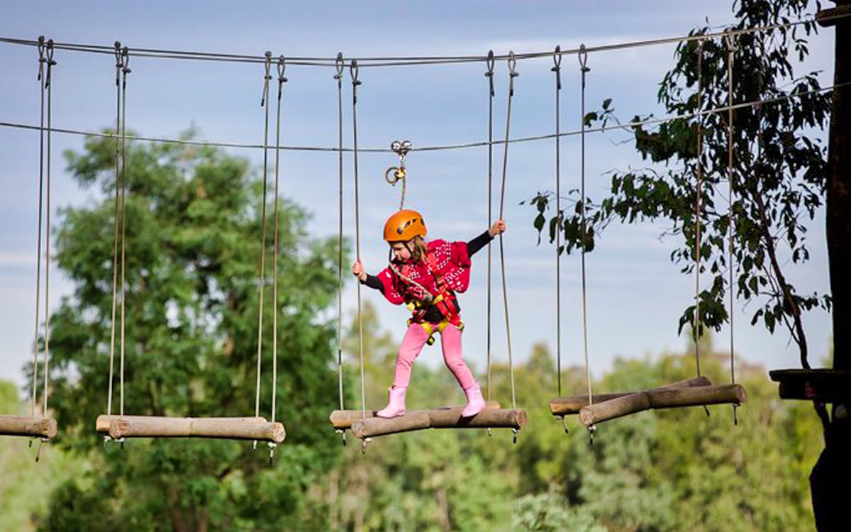 treetops adventure park admission tickets-0 treetops adventure park admission tickets-0