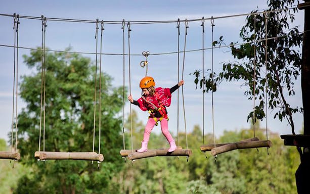 Child navigating rope bridge at Treetops Adventure Park.