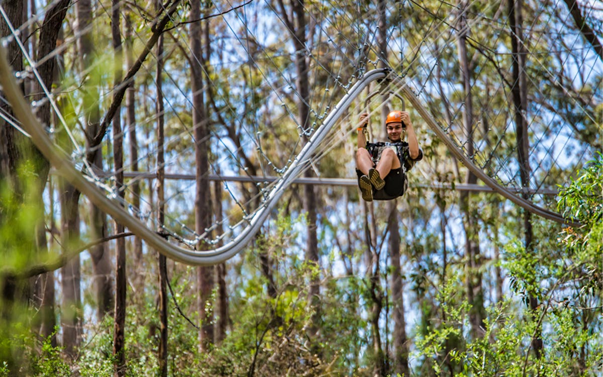treetops adventure park admission tickets-13 treetops adventure park admission tickets-13