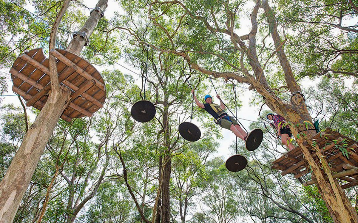 treetops adventure park admission tickets-6 treetops adventure park admission tickets-6