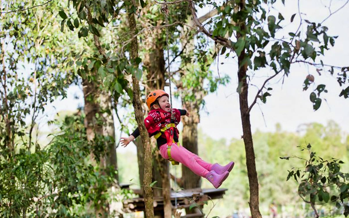 treetops adventure park admission tickets-12 treetops adventure park admission tickets-12