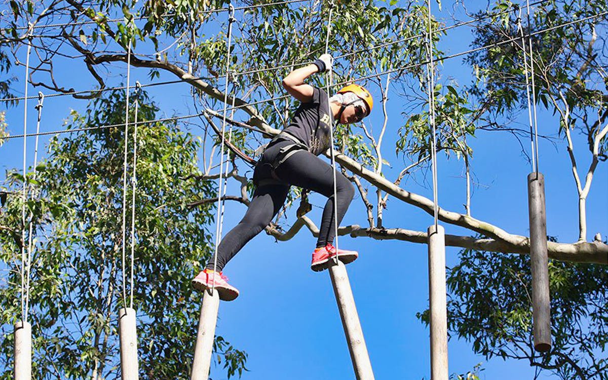 treetops adventure park admission tickets-11 treetops adventure park admission tickets-11