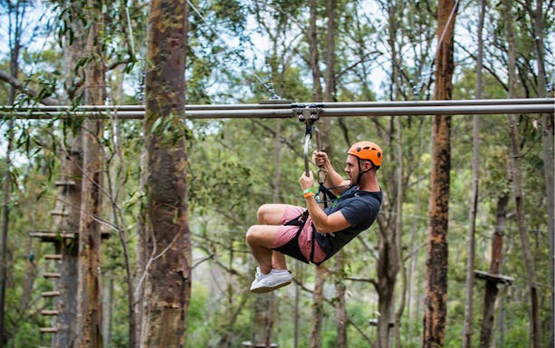 Person ziplining through forest at Treetops Adventure Park.