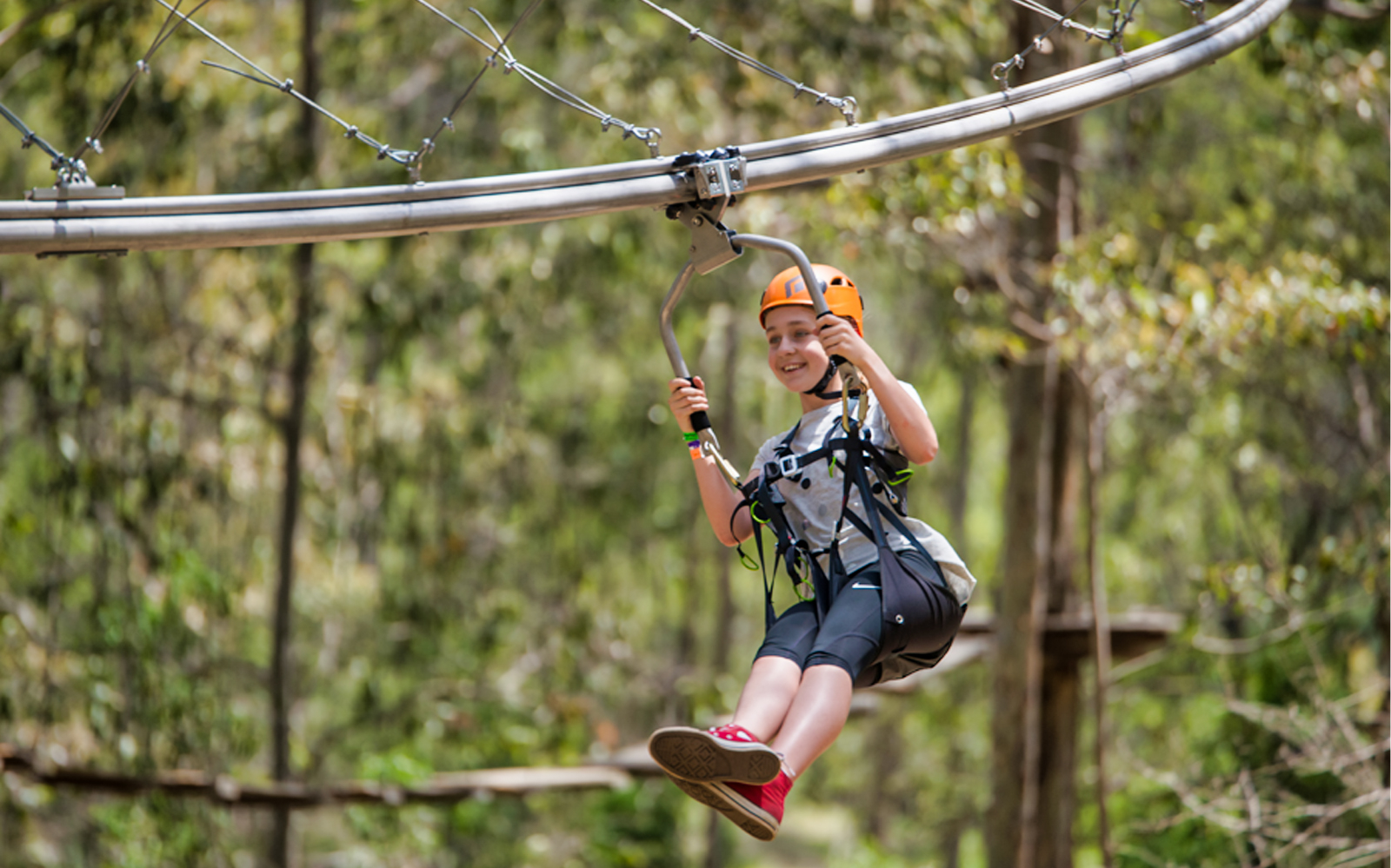 TreeTops Adventure Park Australia Tickets | [COVID-19 Updated]