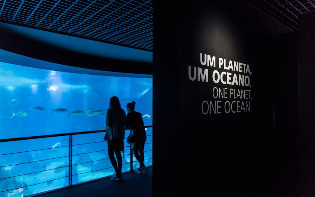 Visitors observing marine life at Lisboa's Oceanário with "One Planet, One Ocean" sign.