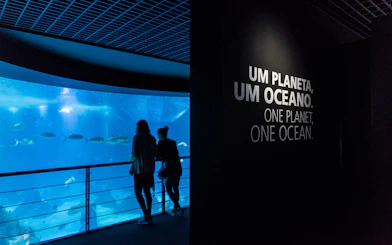 Visitors observing marine life at Lisboa's Oceanário with "One Planet, One Ocean" sign.