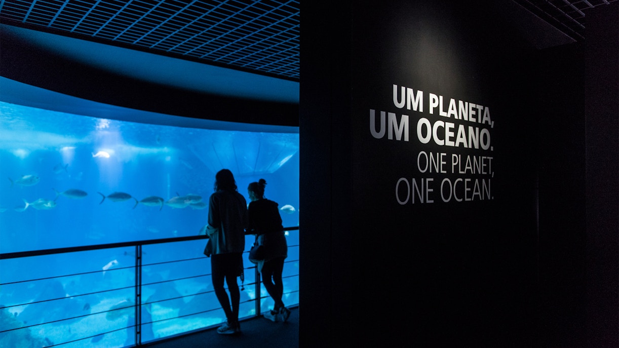 Ozeanarium Lissabon Tickets