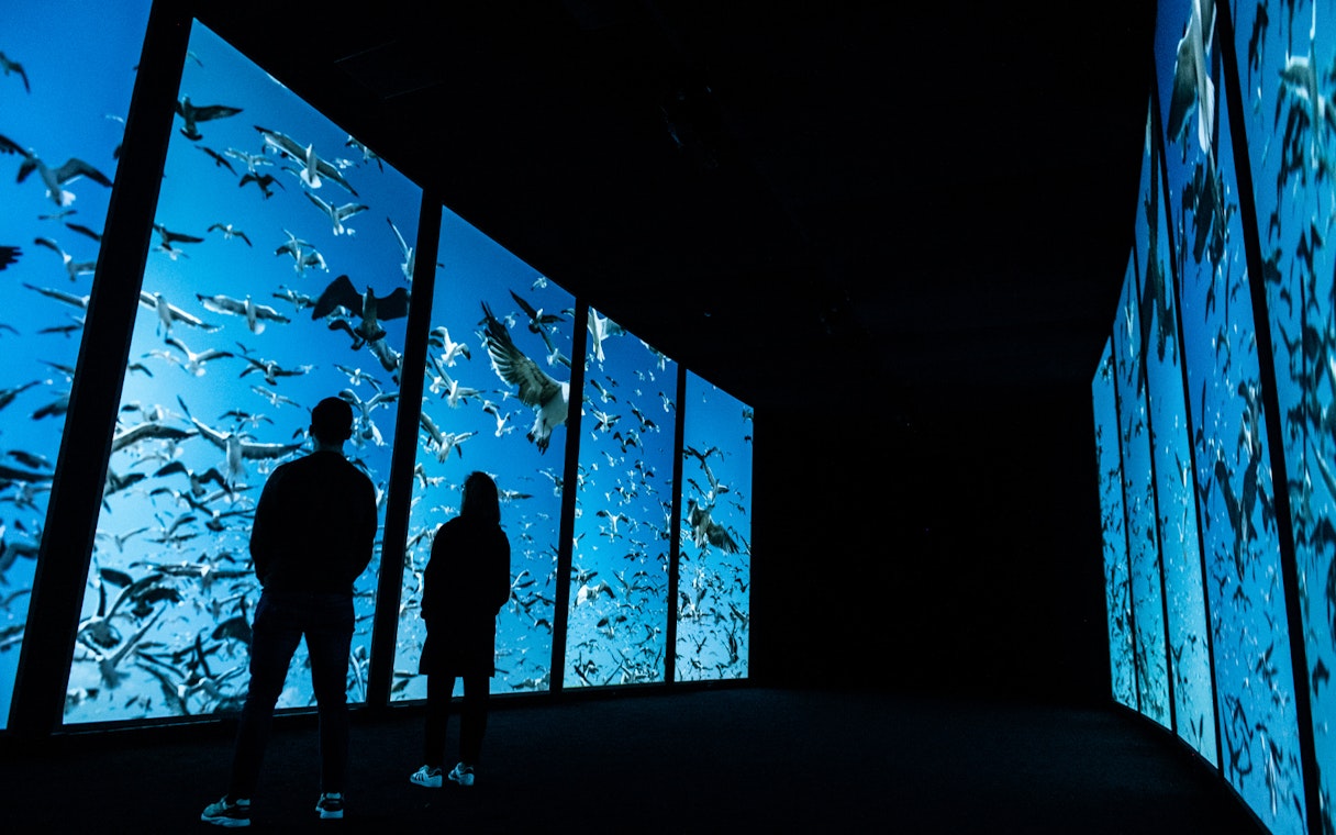 Visitors viewing ocean life display at Lisboa's Oceanário.
