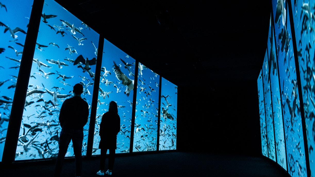 Ozeanarium Lissabon Tickets