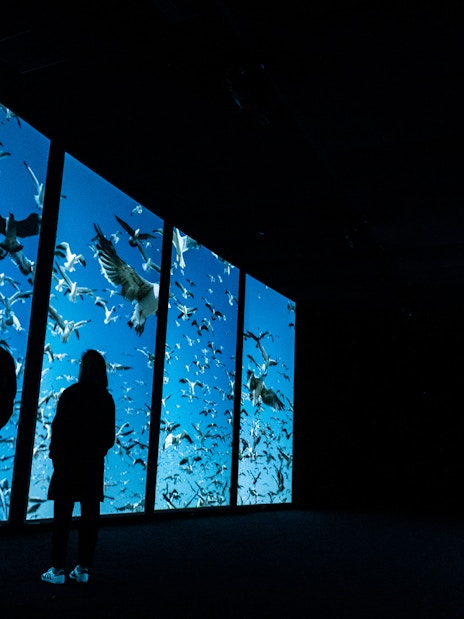 Visitors viewing ocean life display at Lisboa's Oceanário.