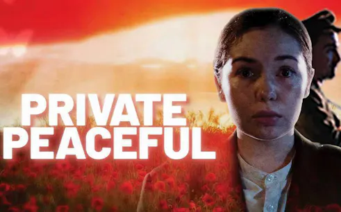 Private Peaceful poster with a young person in a field of poppies at sunset.