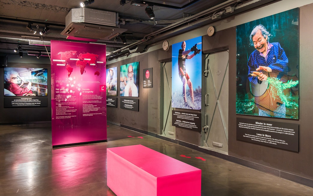 Exhibit at Body Worlds Amsterdam showcasing the Secrets of Longevity.