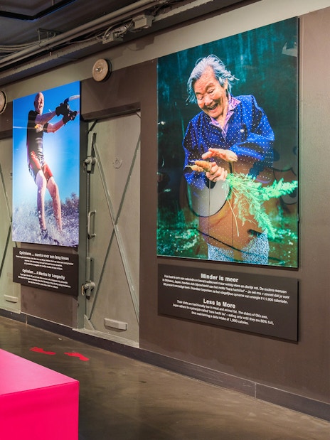 Exhibit at Body Worlds Amsterdam showcasing the Secrets of Longevity.