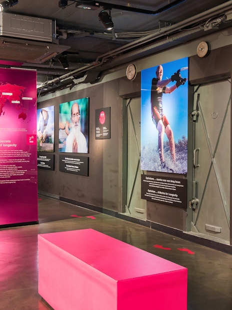 Exhibit at Body Worlds Amsterdam showcasing the Secrets of Longevity.