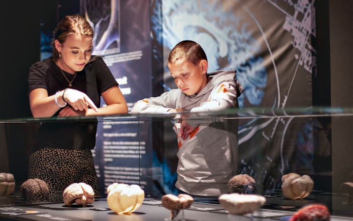 Visitors examining anatomical displays at Body Worlds Amsterdam exhibit.