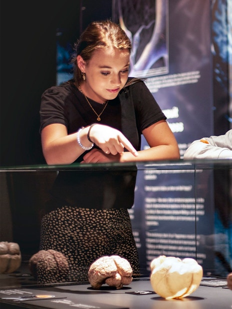Visitors examining anatomical displays at Body Worlds Amsterdam exhibit.