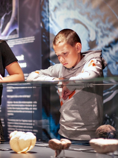 Visitors examining anatomical displays at Body Worlds Amsterdam exhibit.