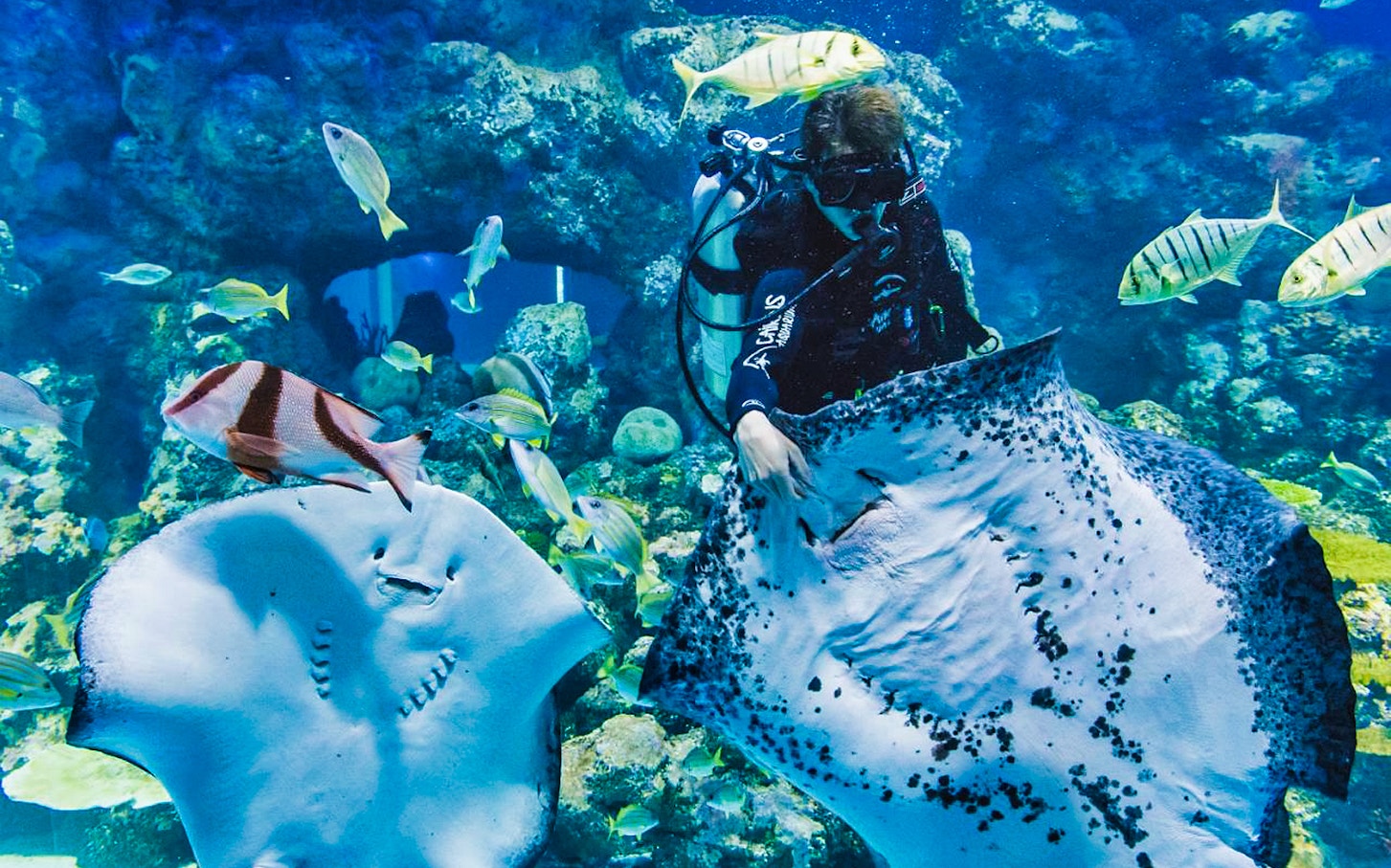 Get The Best Deals on Cairns Attraction Tickets
