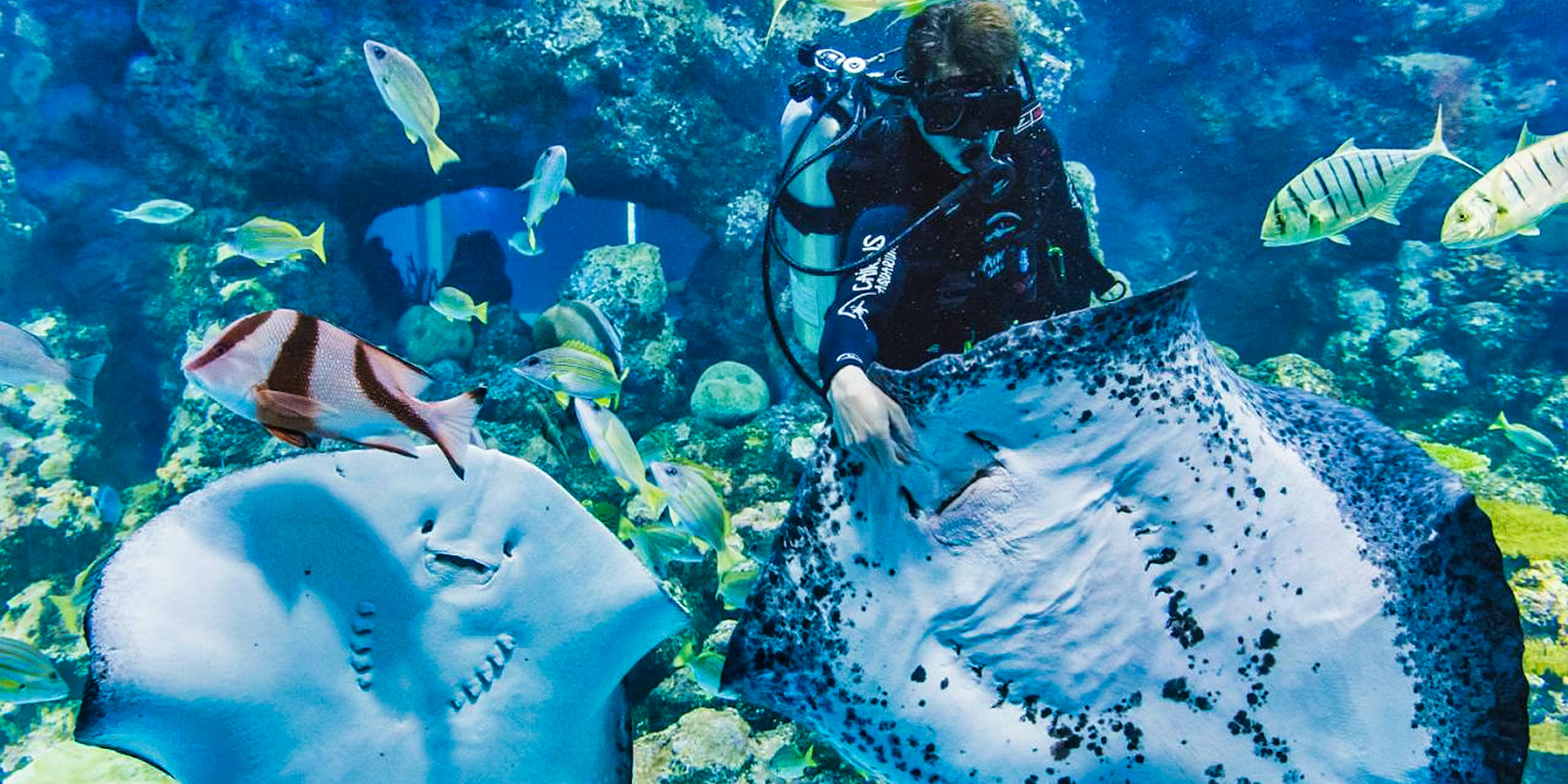 Get The Best Deals on Cairns Attraction Tickets